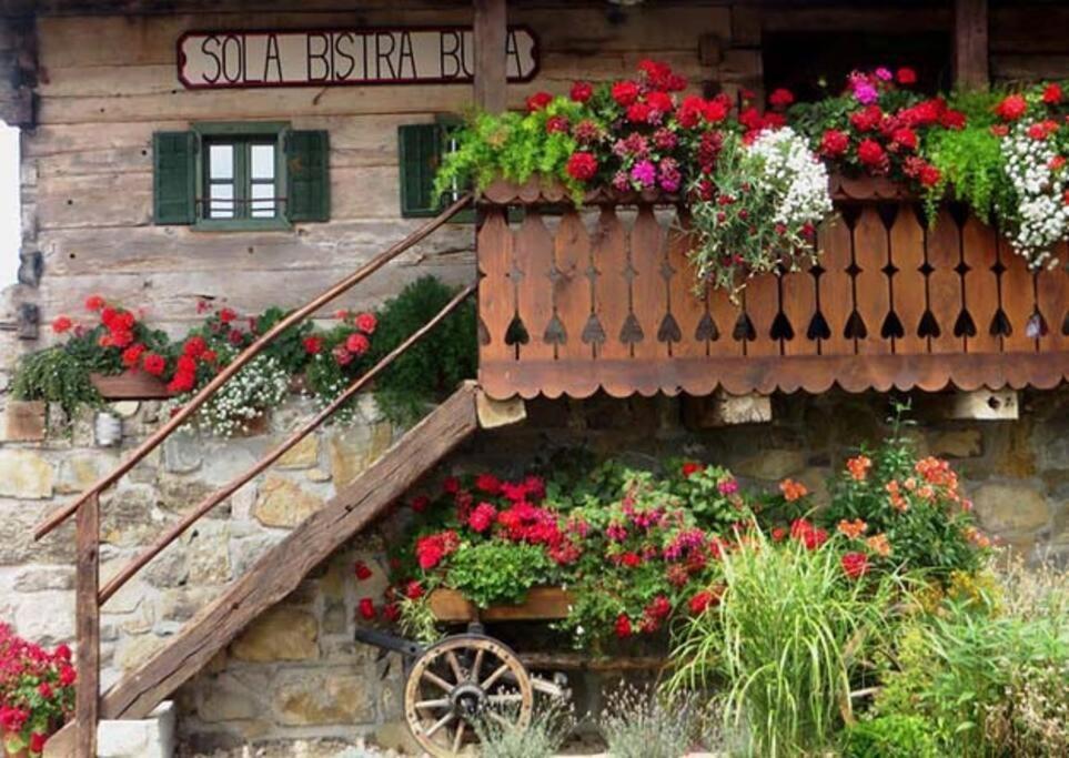 Holiday home Kolpa - Luxury Natura House *